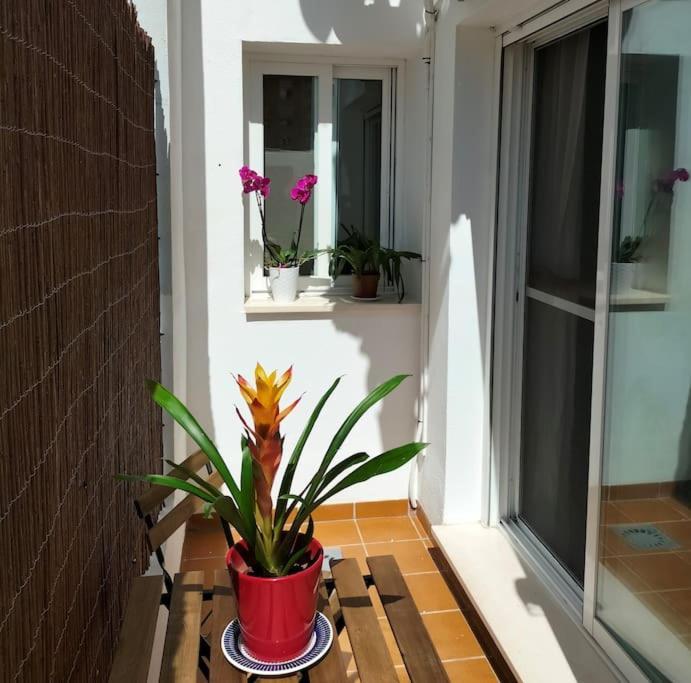 Estudio 52 Malaga Centrico Parking Gratuito Apartment Екстериор снимка